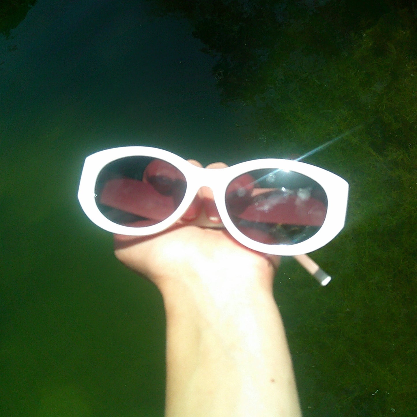 Salt and Bone Sunglasses